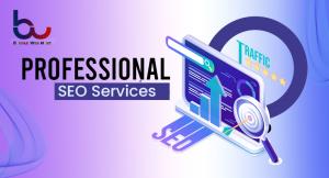 professional SEO services