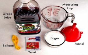 Global Wine-Making Yeast market