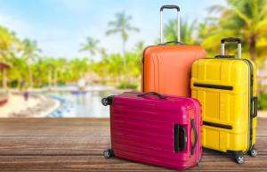  Luggage Market