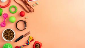 Dog Clothing & Accessories Market