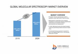 Global Molecular Spectroscopy Market overview