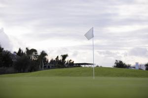 Golf Flags Industry