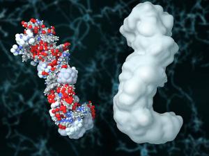 Kinase Inhibitor Market-By PMI