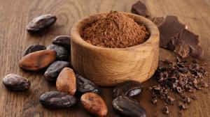 Cocoa Solids