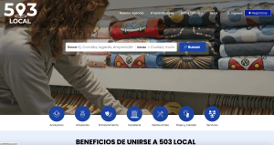 503 Local Website