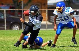  Sports Protection Equipment Market-PMI