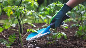 Top 9 Largest Fertilizer Companies in World 2022-2027