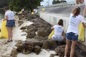 Trash is being pick up during the Vertilux Beach Clean Up in 2021