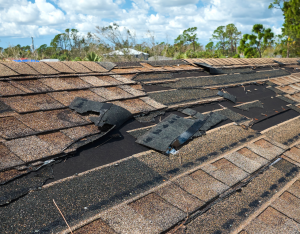 DAMAGED SHINGLES