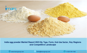 Egg Powder Market Price in India