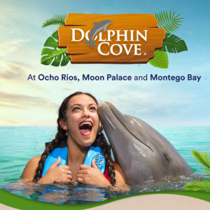 dolphin-cove-ocho-rios