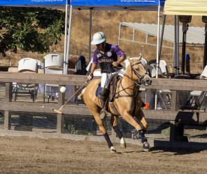 An arena polo player on a palomino polo pony hits a ball in the air