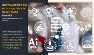 North America Big Data Analytics in Healthcare Market Insights