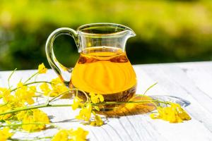 Canola Oil Market Share, Size, Leading Companies, Industry Trends, SWOT Analysis and Forecast 2023-2028