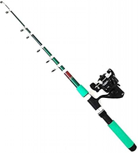 Catfish Rods Market