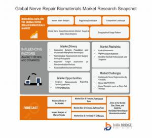 Nerve Repair Biomaterials Market Market Research Overview