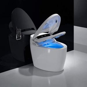 Smart Toilets