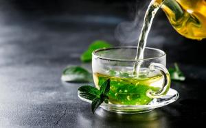 Green Tea Extract Market