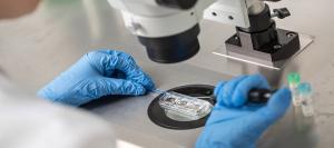IVF Devices and Consumables Market1