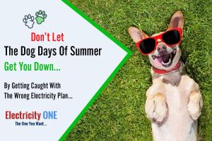 Electricity One™ Simplifies Deregulated Energy - Electric Choice in Texas