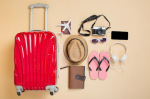 Travel Accessories Market