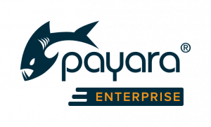 Payara Platform Enterprise Logo