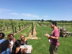 A wine tasting amidst the vines led by the winemaker.