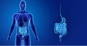 Gastrointestinal Therapeutics