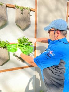 Chef of The Soup KItchen selects herbs from the vertical herb garden to add to his cooking