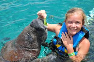 sea lion encounter riviera maya with a girl