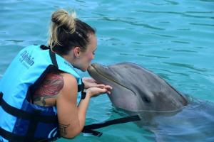 woman swim with dolphins in puerto aventuras riviera maya
