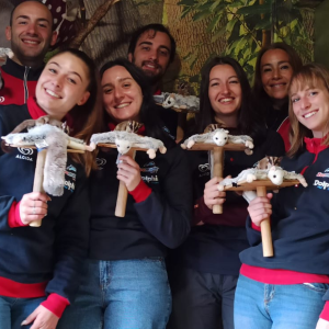 Asociados The Dolphin Company