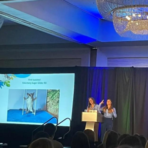 conferencia IMAITA The Dolphin Company