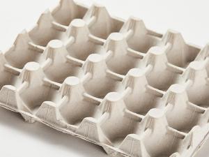 Molded Fiber Packaging Market