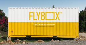 Sunny Day in Kenya, Yellow Shipping Container with 'Flybox' Branding in the center
