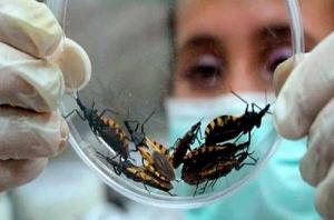 Chagas Disease Therapeutics Market-PMI
