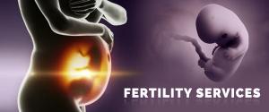 Fertility Services Market