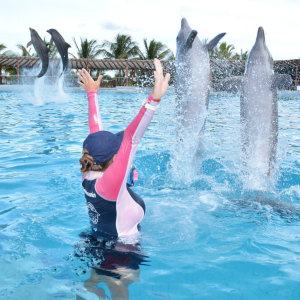 trainer dolphin day at puerto aventuras riviera maya