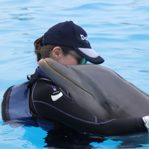 trainer hugs dolphin at puerto aventuras riviera maya