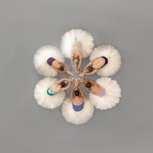 Top down image of the English National Ballet in the shape of a Hibiscus flower