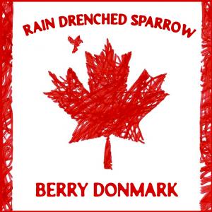 The cover art for "Rain Drenched Sparrow"