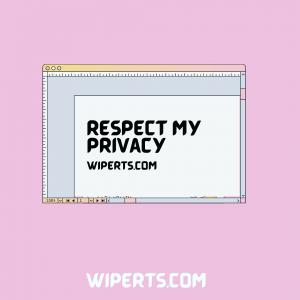 Taking Back Control: How Wiperts Empowers Users to Protect Their Online Privacy