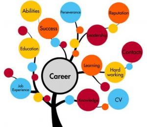 Career & Education Counselling