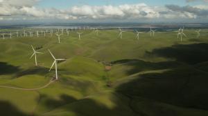 The use of renewable energy is key to achieving Net Zero