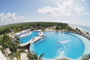 Dolphin Discovery at Maroma Beach Playa del Carmen