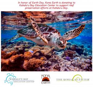 turtle swimming in coral reef with text
