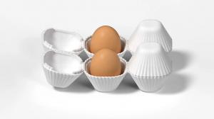 Egg Packaging Market