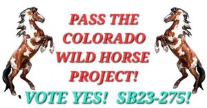 Leave Wild Horses Wild