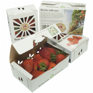 Recyclable, biodegradable boxes hold strawberries.