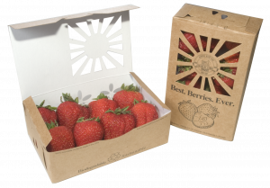 Recyclable, biodegradable brown boxes hold strawberries.